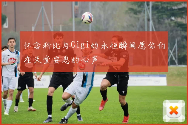 怀念科比与Gigi的永恒瞬间愿你们在天堂安息的心声