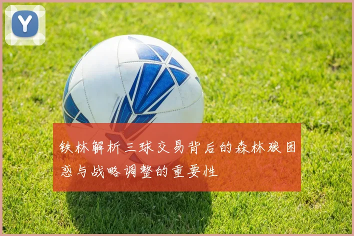 铁林解析三球交易背后的森林狼困惑与战略调整的重要性